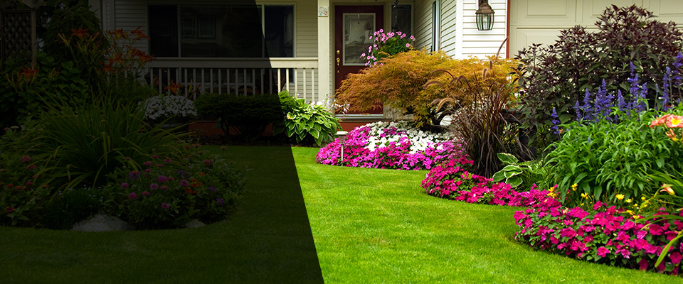 Ayden Landscapers