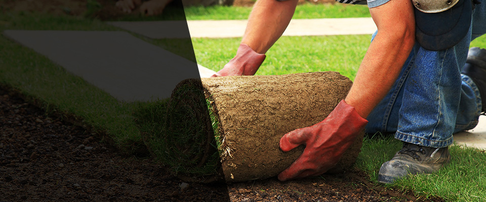 Ayden Landscapers